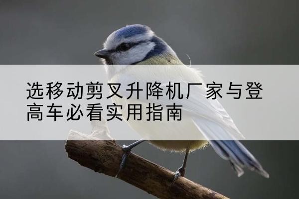 长乐电动升降机厂家-选移动剪叉升降机厂家与登高车必看实用指南