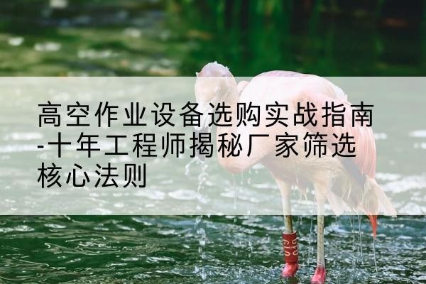 长乐剪叉式升降机厂家-高空作业设备选购实战指南-十年工程师揭秘厂家筛选核心法则