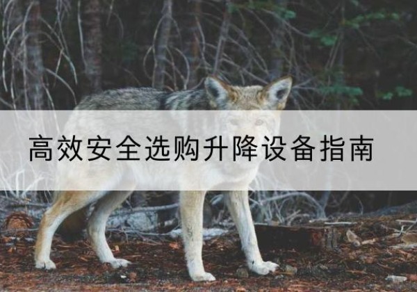 长乐升降货梯厂家推荐-*安全选购升降设备指南