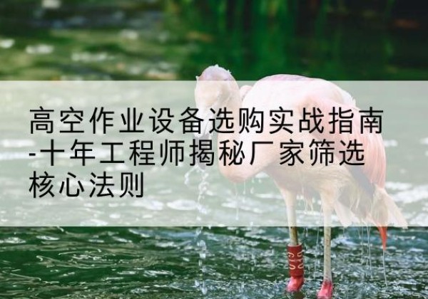长乐剪叉式升降机厂家-高空作业设备选购实战指南-十年工程师揭秘厂家筛选核心法则